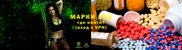 молекула духа Аркадак
