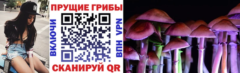 Псилоцибиновые грибы Psilocybine cubensis сайты даркнета наркотические препараты Избербаш